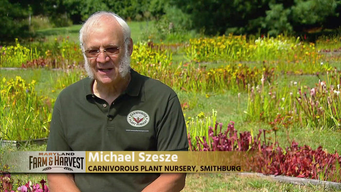 Carnivorous Plant Nursery Featured on Maryland Public Television
