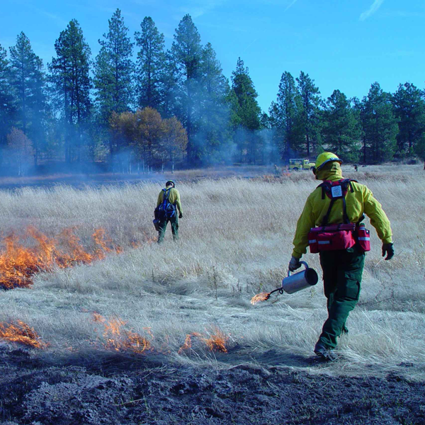 Conservation and Protection