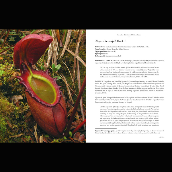 Nepenthes-The Tropical Pitcher Plants, sample page
