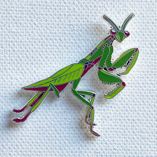 Mantis Pin | | Carnivorous Plant Nursery