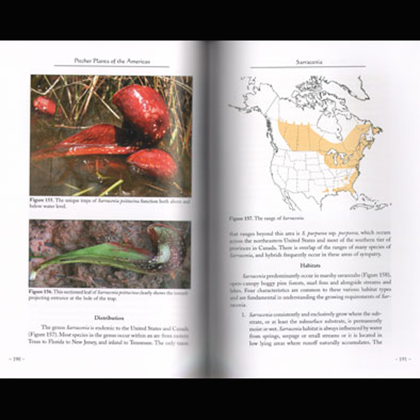 Pitcher Plants of the Americas | | Carnivorous Plant Nursery