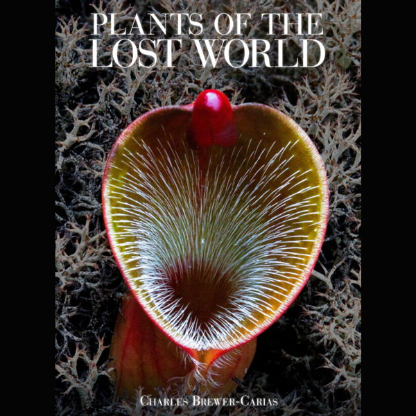 Plants of the Lost World, Redfern Press | | Carnivorous Plant Nursery