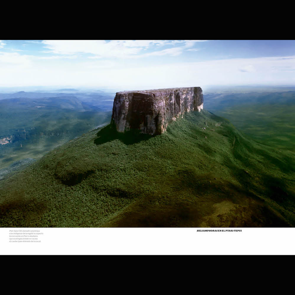 Plants of the Lost World, Redfern Press | | Carnivorous Plant Nursery