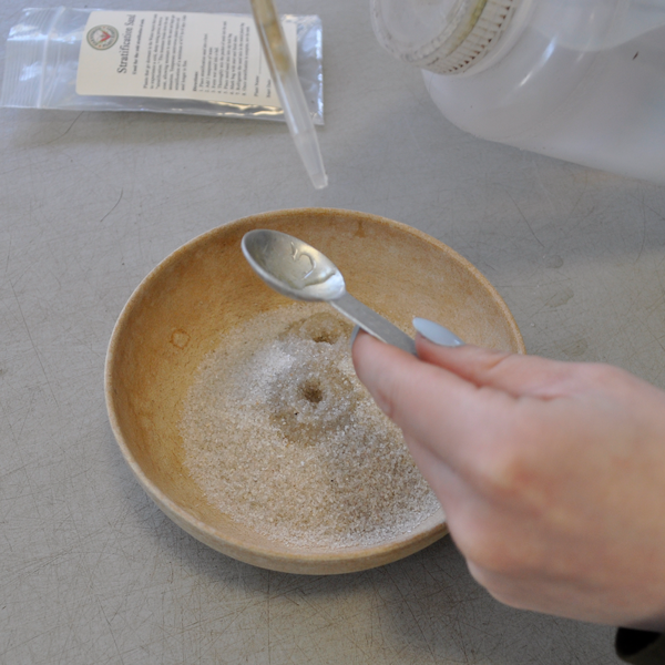 Stratification Sand | | Carnivorous Plant Nursery