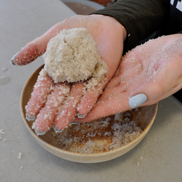 Stratification Sand | | Carnivorous Plant Nursery