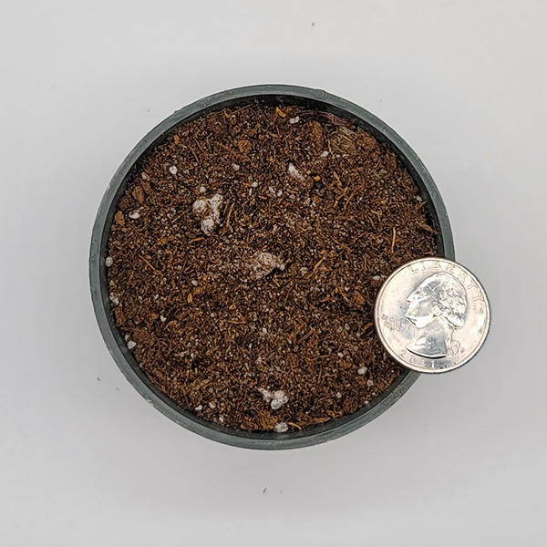 All-Purpose Soil Mix | | Carnivorous Plant Nursery