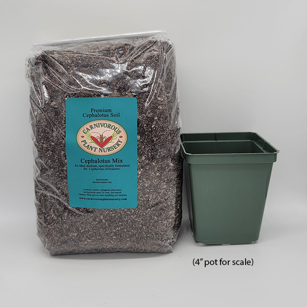 Cephalotus Soil Mix | 2.5 Quarts | Carnivorous Plant Nursery