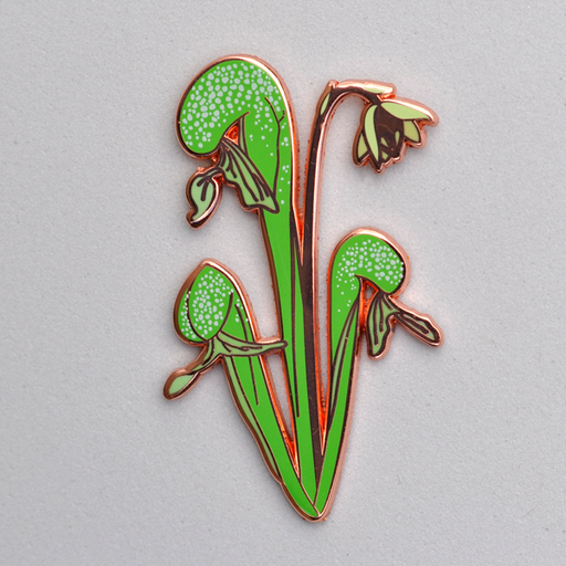 Darlingtonia Lapel Pin | | Carnivorous Plant Nursery