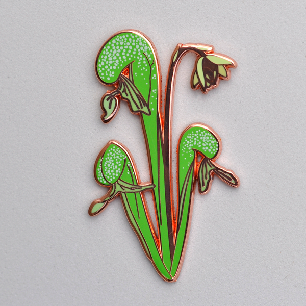 Darlingtonia Lapel Pin | | Carnivorous Plant Nursery