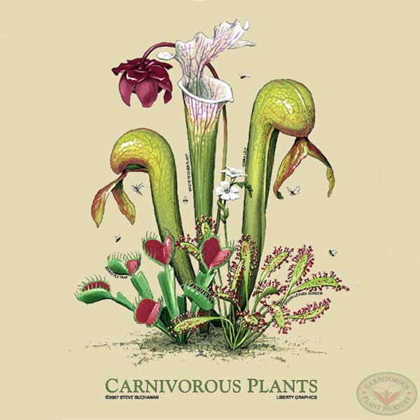 Carnivorous Plant T-shirt | | Carnivorous Plant Nursery