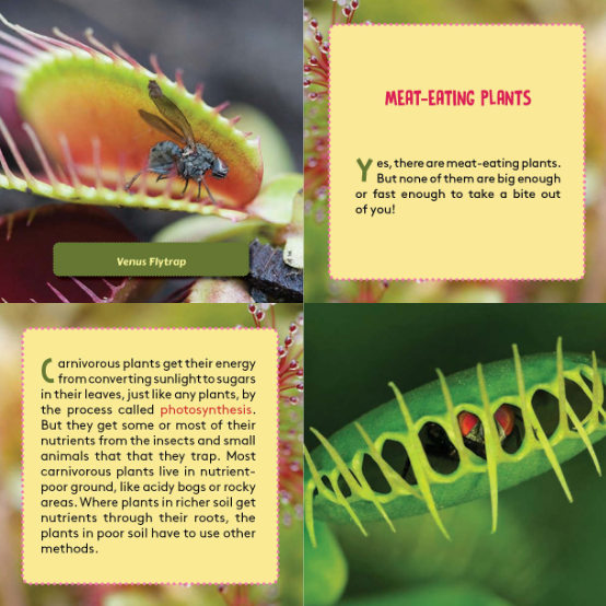 Do Plants Eat Animals? | | Carnivorous Plant Nursery