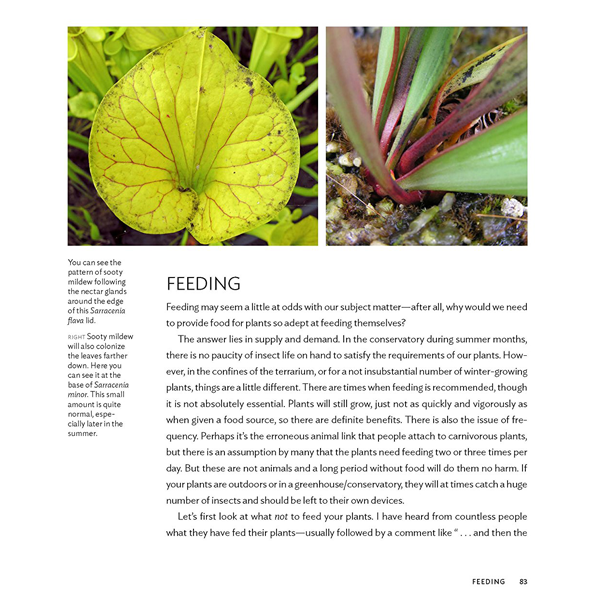 Gardening with Carnivorous Plants | | Carnivorous Plant Nursery