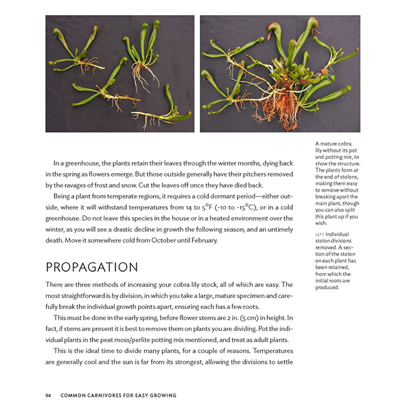 Gardening with Carnivorous Plants | | Carnivorous Plant Nursery