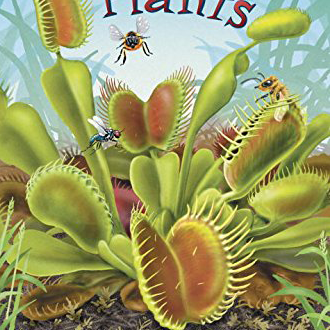 Hungry Plants | | Carnivorous Plant Nursery