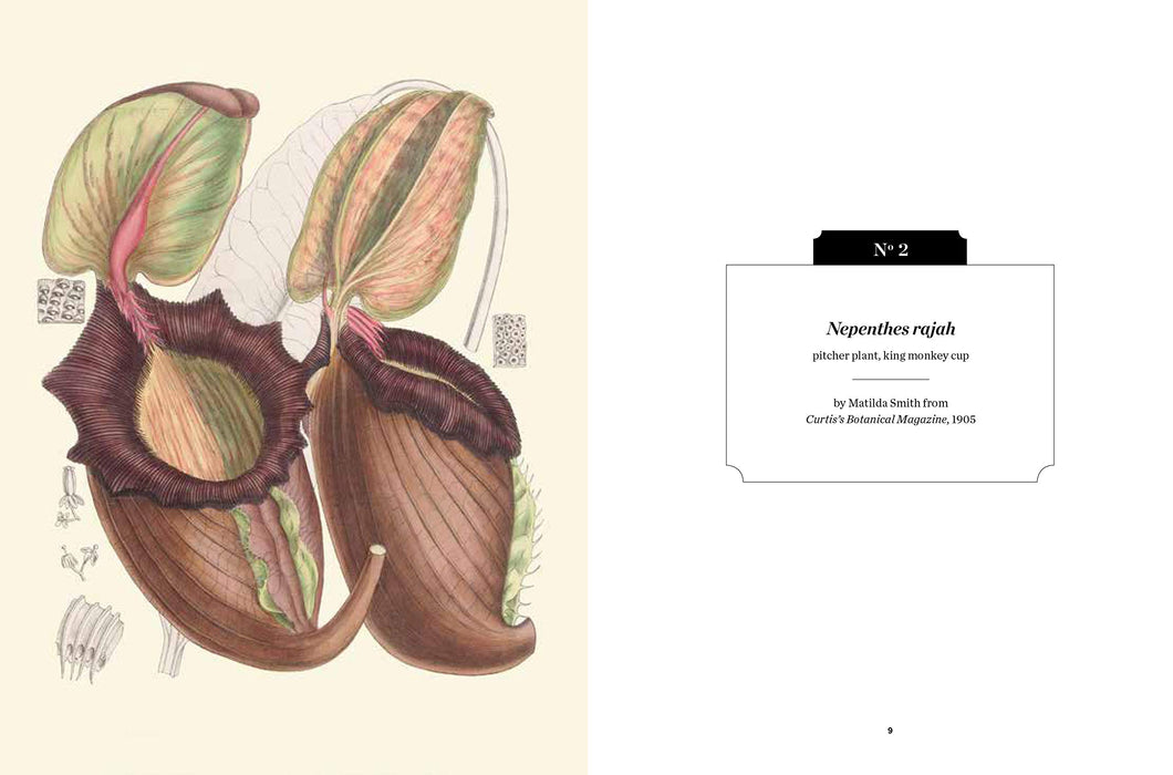 Carnivorous Plants - Kew Pocketbook | | Carnivorous Plant Nursery