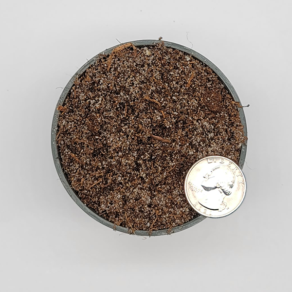 Lower Bog Soil Mix | | Carnivorous Plant Nursery