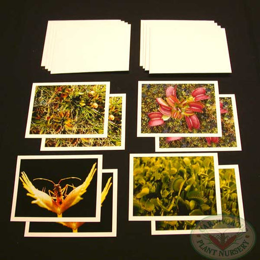 Carnivorous Plant Note Cards