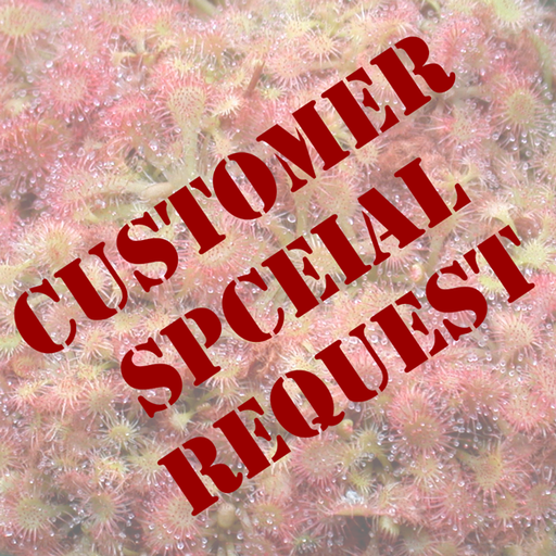 Customer Special Request | | Carnivorous Plant Nursery