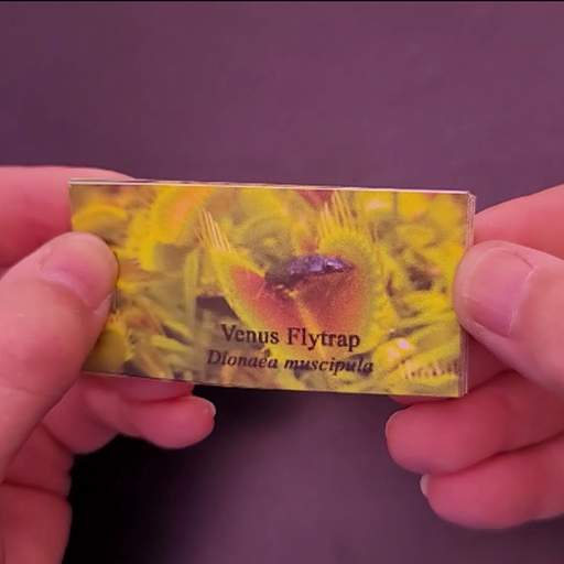 Venus Flytrap Flipbook (Digital Download) | | Carnivorous Plant Nursery