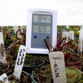 Frost Protection Fabric | | Carnivorous Plant Nursery