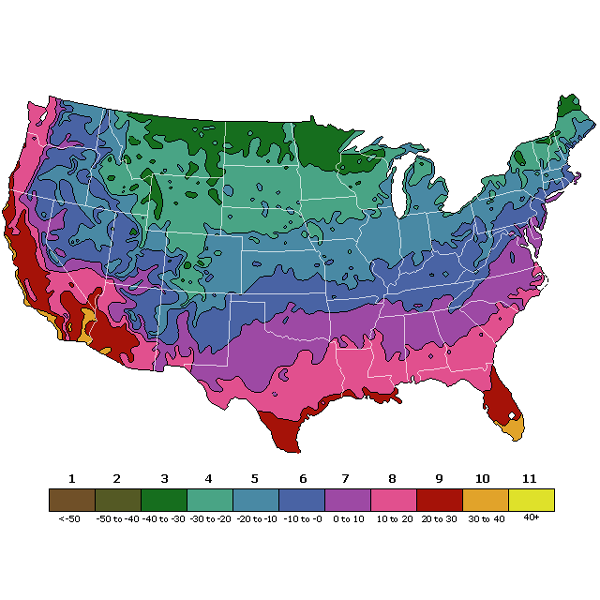 Plant Hardiness Zones