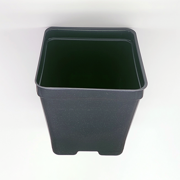 Plastic Pots (30 pack) | | Carnivorous Plant Nursery