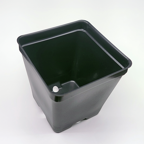 Plastic Pots (30 pack) | | Carnivorous Plant Nursery
