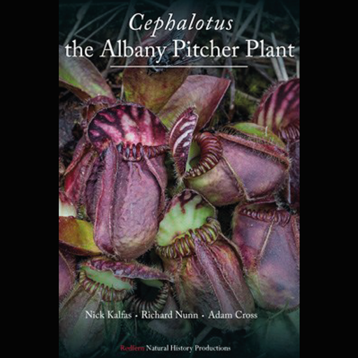 Cephalotus by McPherson cover