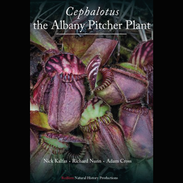 Cephalotus by McPherson cover