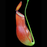 Nepenthes ampullaria x reinwardtiana