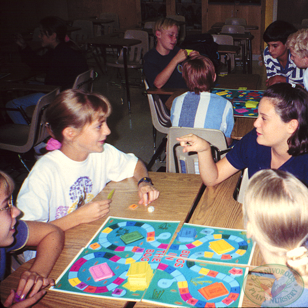 Bugs in the Bog Board Game