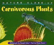 Carnivorous Plants Nature Close-up