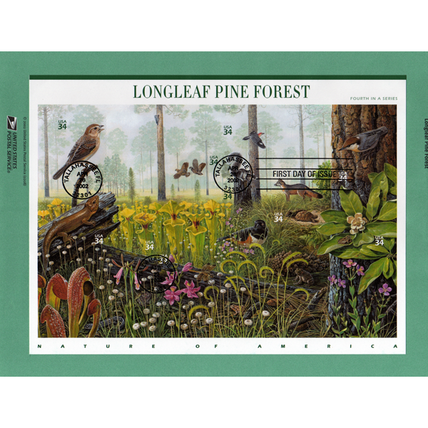 Carnivorous Plant Stamps - Longleaf Pine Forest