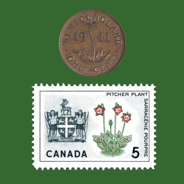 Newfoundland Penny and Stamp