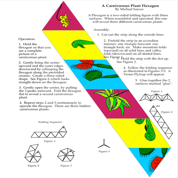 Carnivorous Plant Flexagon by Michael Szesze