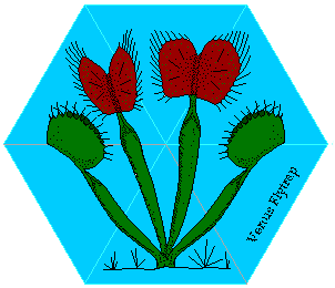 Carnivorous Plant Flexagon by Michael Szesze