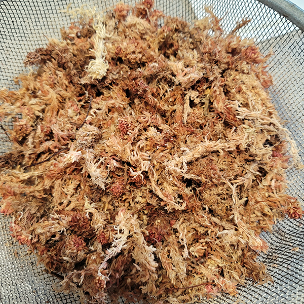 Natural Air-Dried Long-Fiber Sphagnum Moss for Gardening and