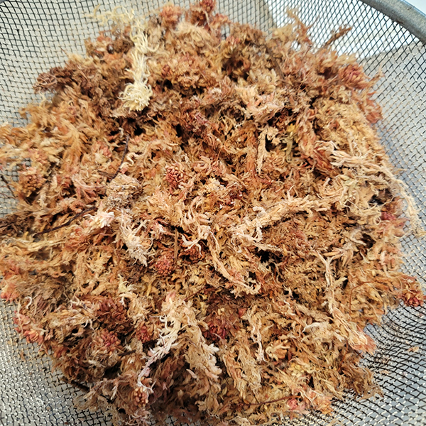 Soil Component - Long-Fiber Sphagnum