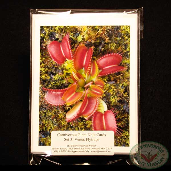 Carnivorous Plant Note Cards