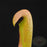 Sarracenia minor Okefenokee Giant