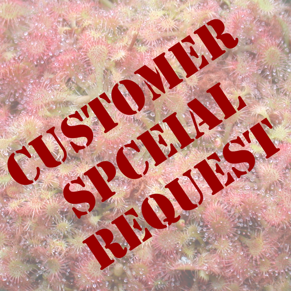 Customer Special Request