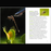 Venus flytrap - A Science Guide for Kids & Teachers: sample lab